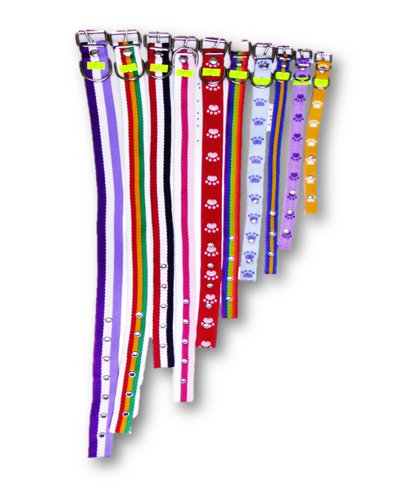 Cod 2250 NYLON COLLAR DE 25MM X 60CM FANTASIA .MC (COD 2250 ) - Lomas Sur