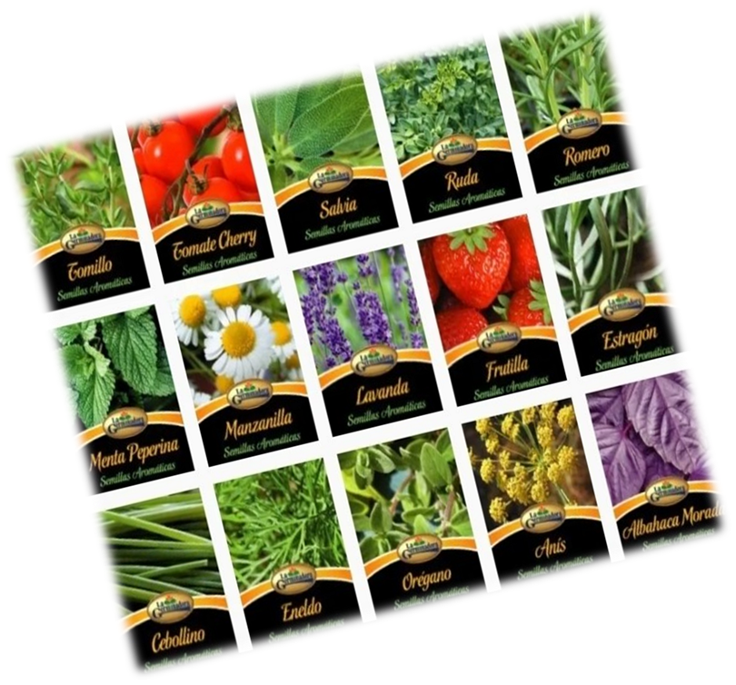 TOMATE CHERRY (COD 4423)