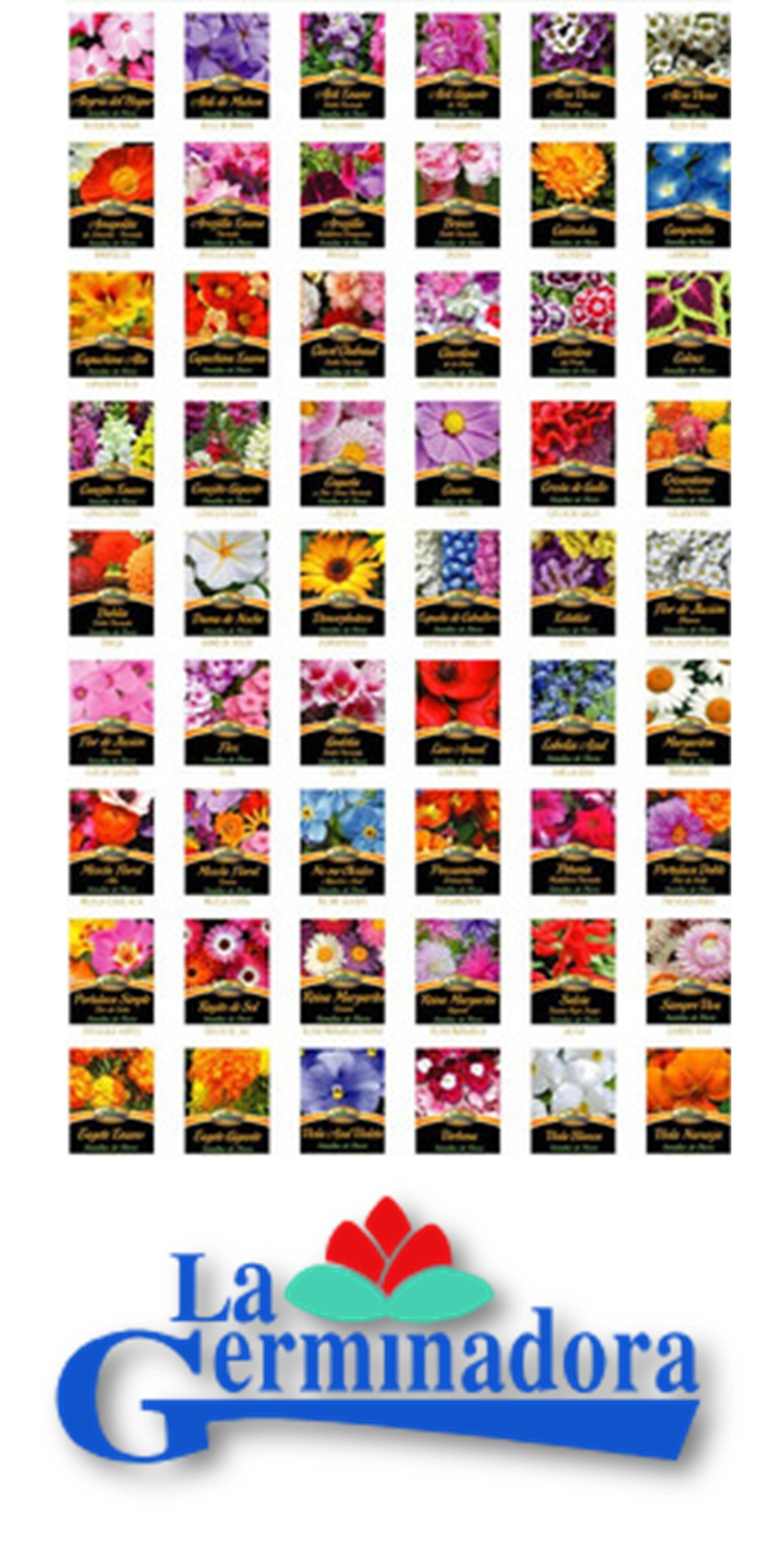 RAYITO DE SOL (COD 4927)