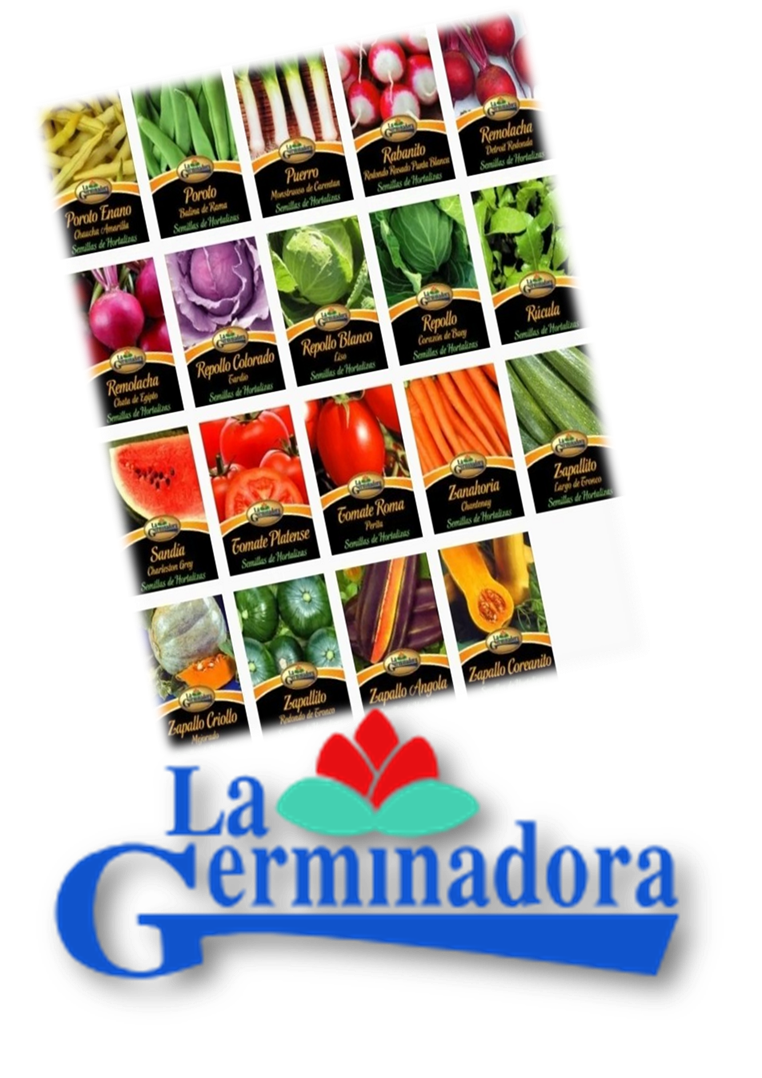 PIMIENTO LARGO P/VINAGRE X - P - V (COD 4966)