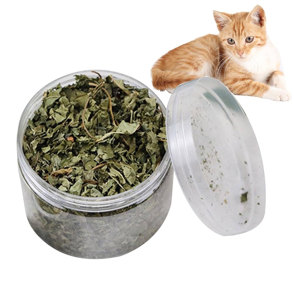 CAT NIP NATURAL (COD 5187)
