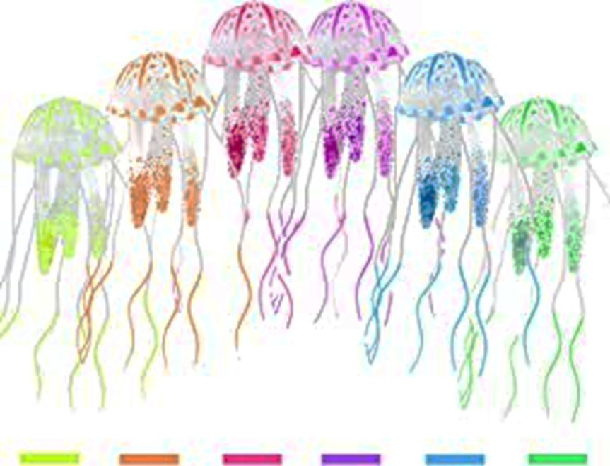 JELLY FISH Nº3 (COD 76 )